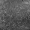 inscription of siglum LP 335