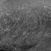 inscription of siglum LP 335