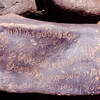 inscription of siglum LP 340