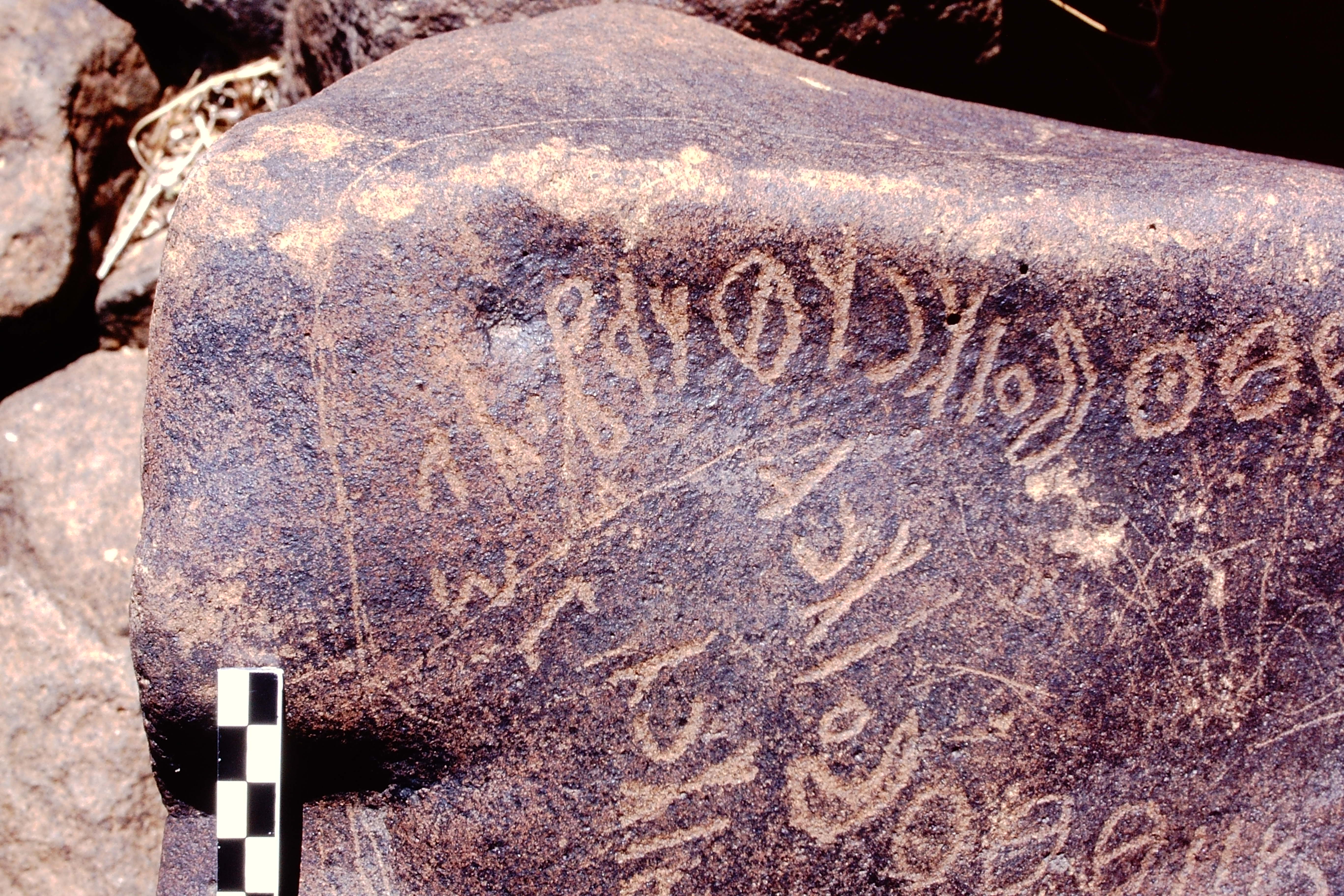 inscription of siglum LP 341