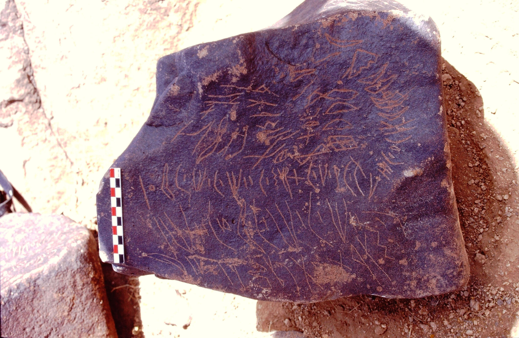 inscription of siglum LP 353