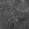 inscription of siglum LP 368
