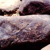 inscription of siglum LP 373