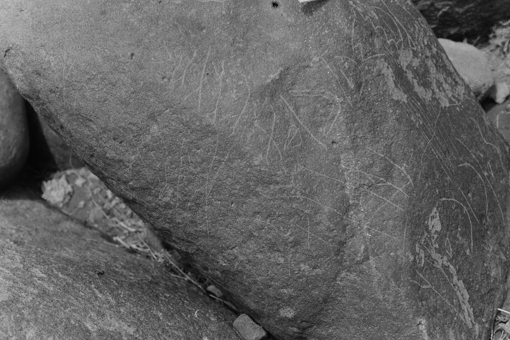 inscription of siglum LP 402