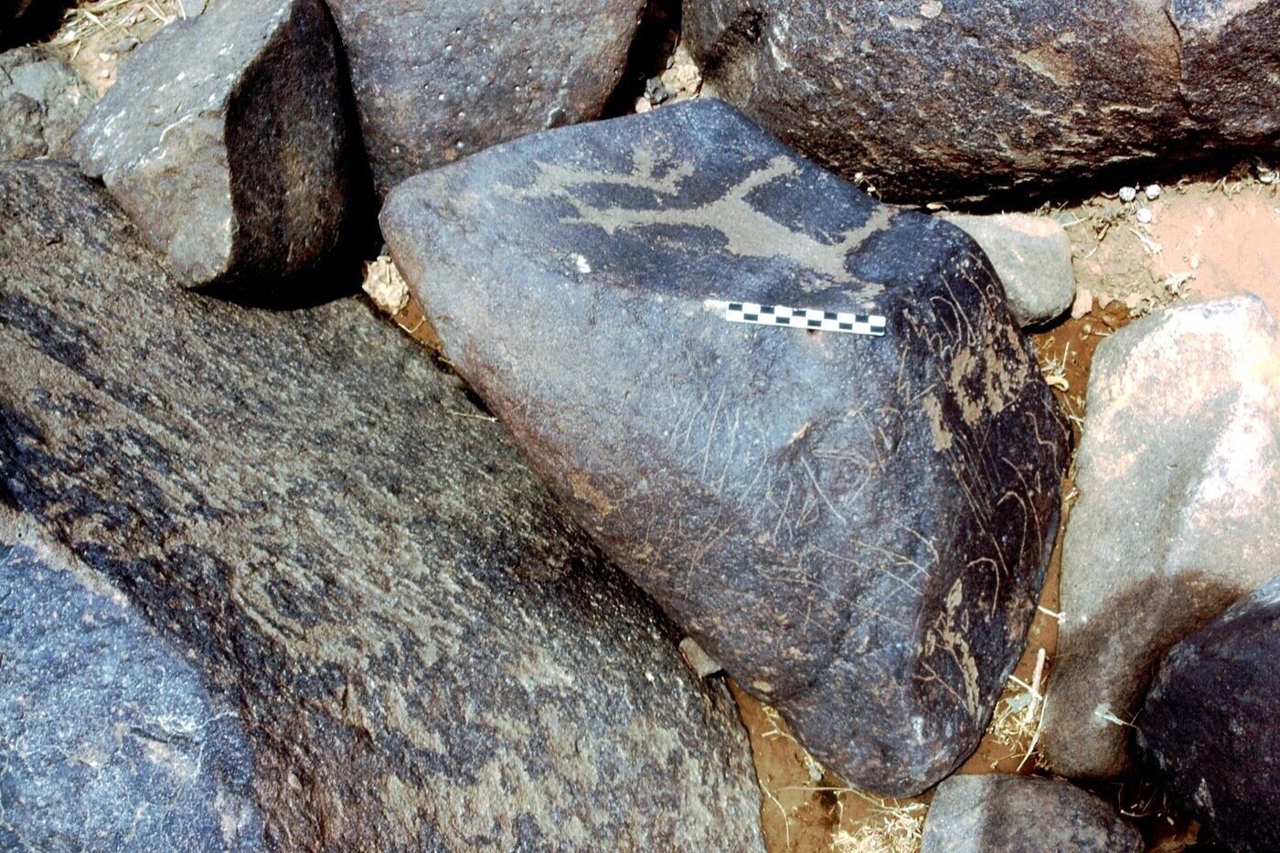 inscription of siglum LP 402