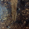 inscription of siglum LP 403