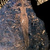 inscription of siglum LP 403