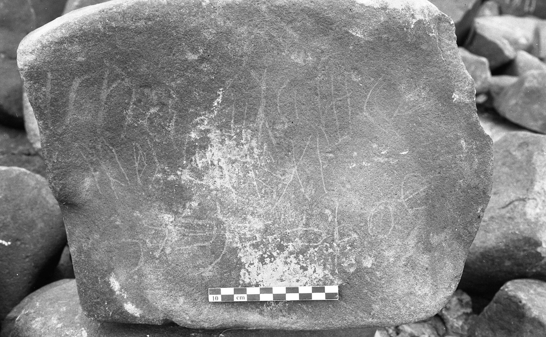 inscription of siglum LP 427