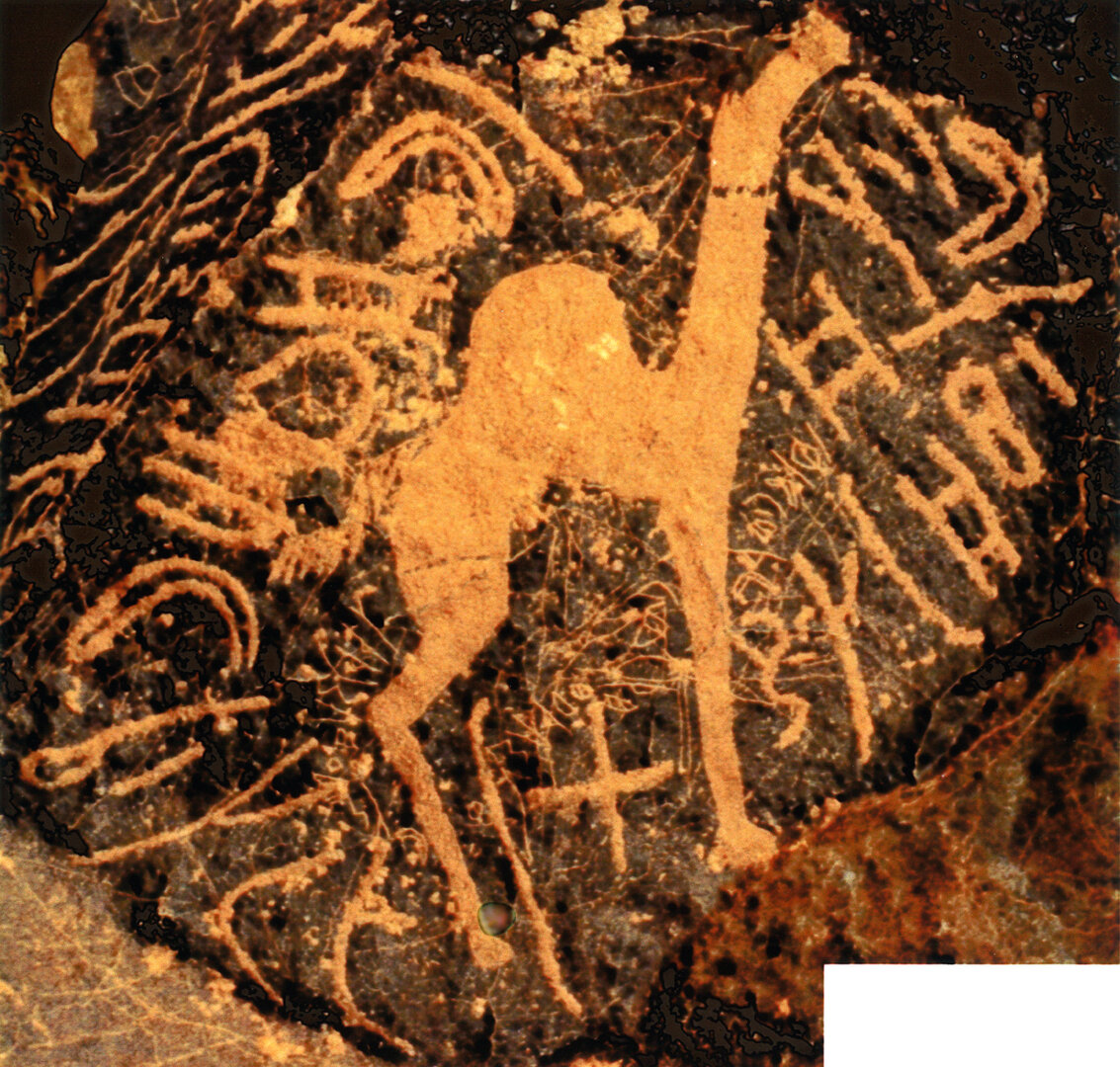 inscription of siglum LP 442