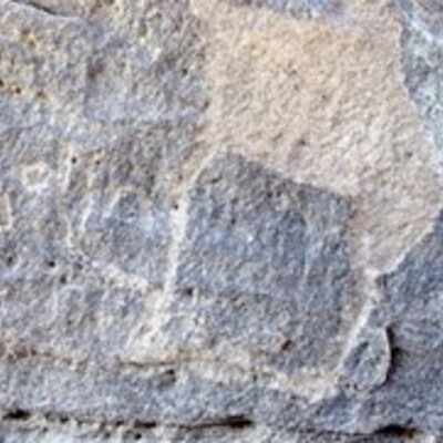 Image of MAFSN_SSA 2.66