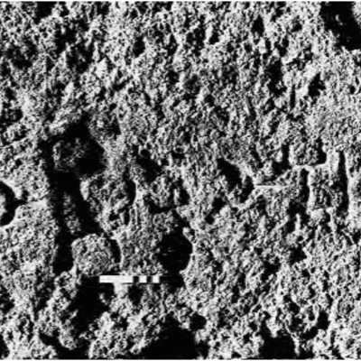 inscription of siglum MDK 2