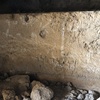 Image of MDK 4