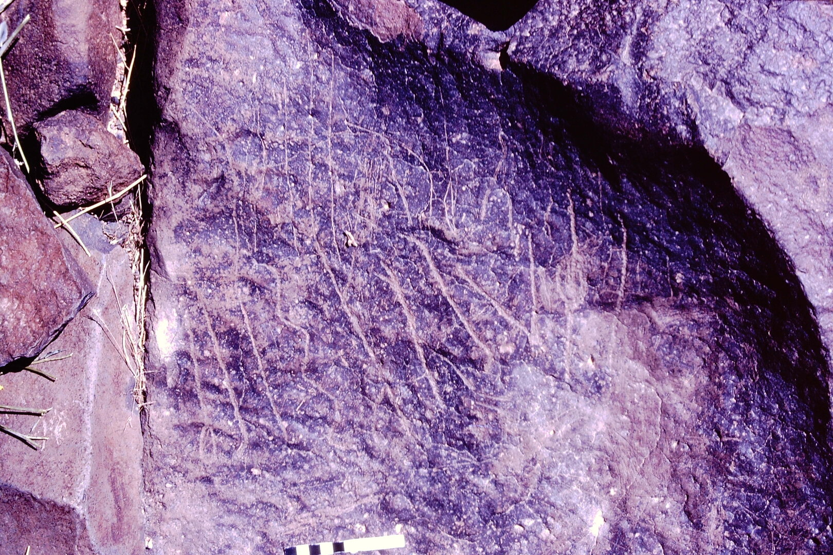 inscription of siglum MKJS 17