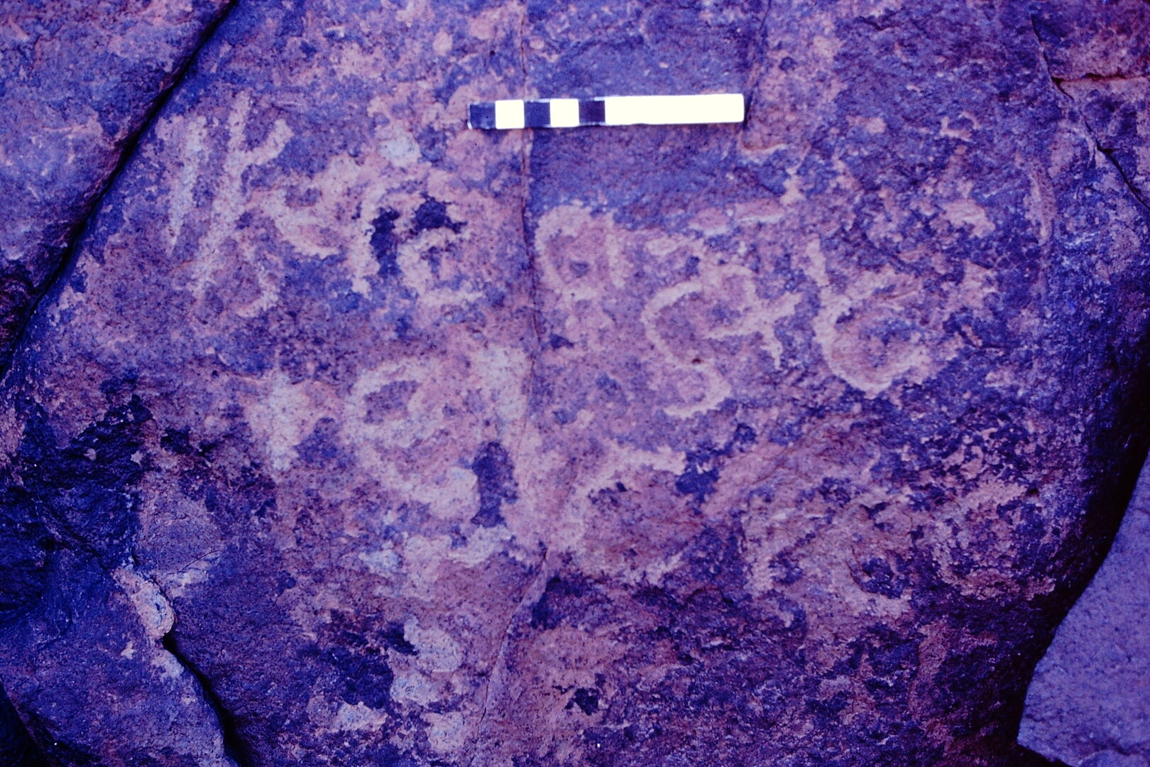 inscription of siglum MKJS 43
