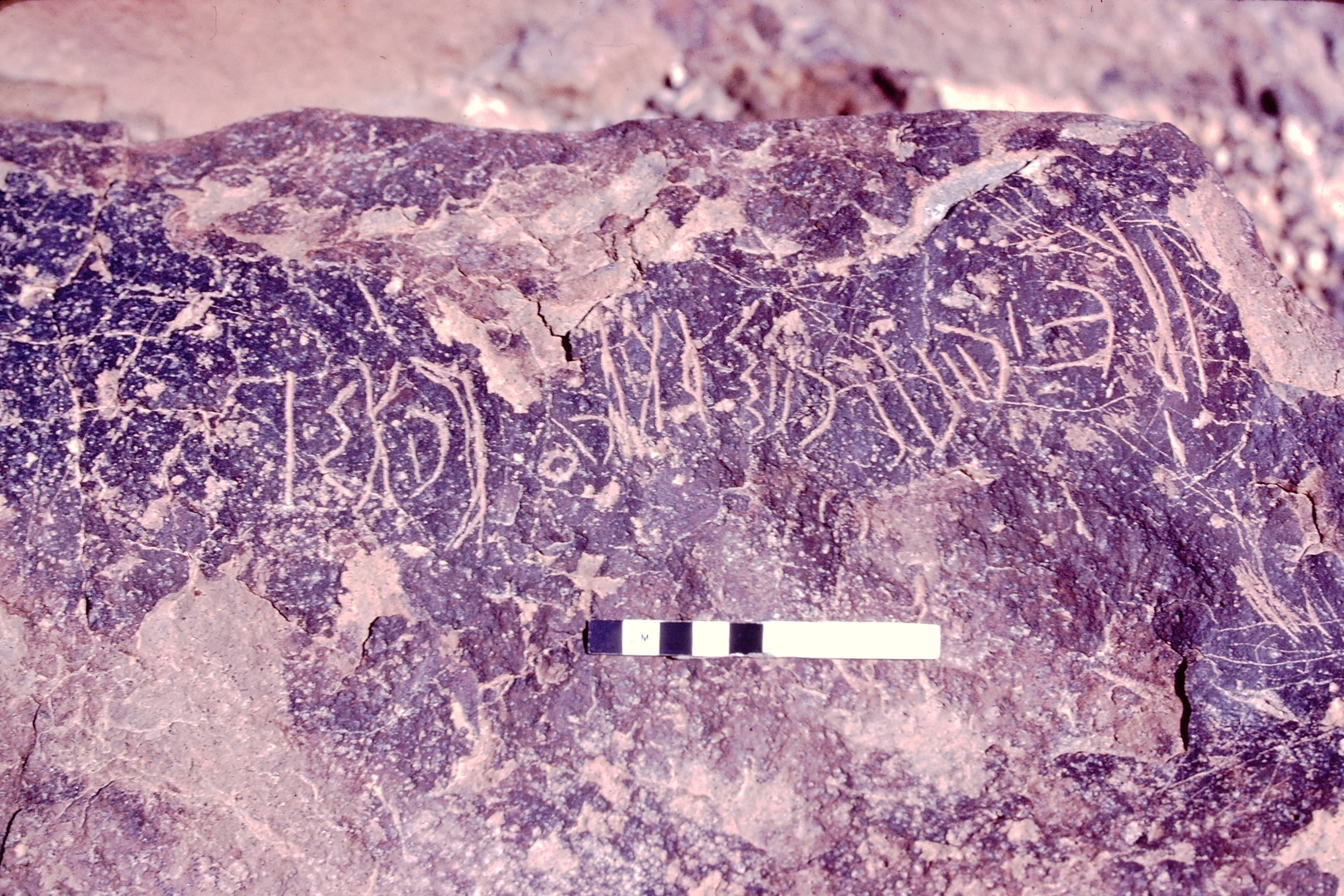 inscription of siglum MKJS 98