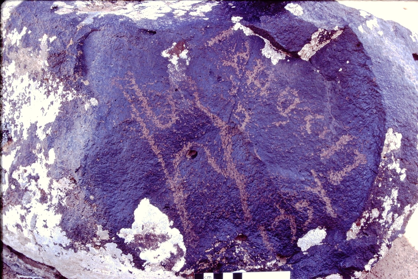 inscription of siglum MKMR 103