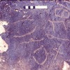 inscription of siglum MKMR 109