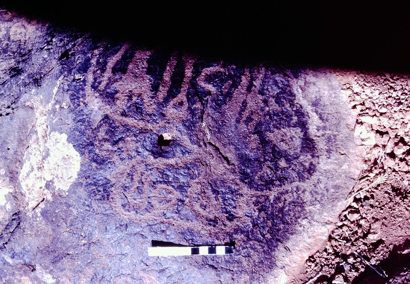 inscription of siglum MKMR 29