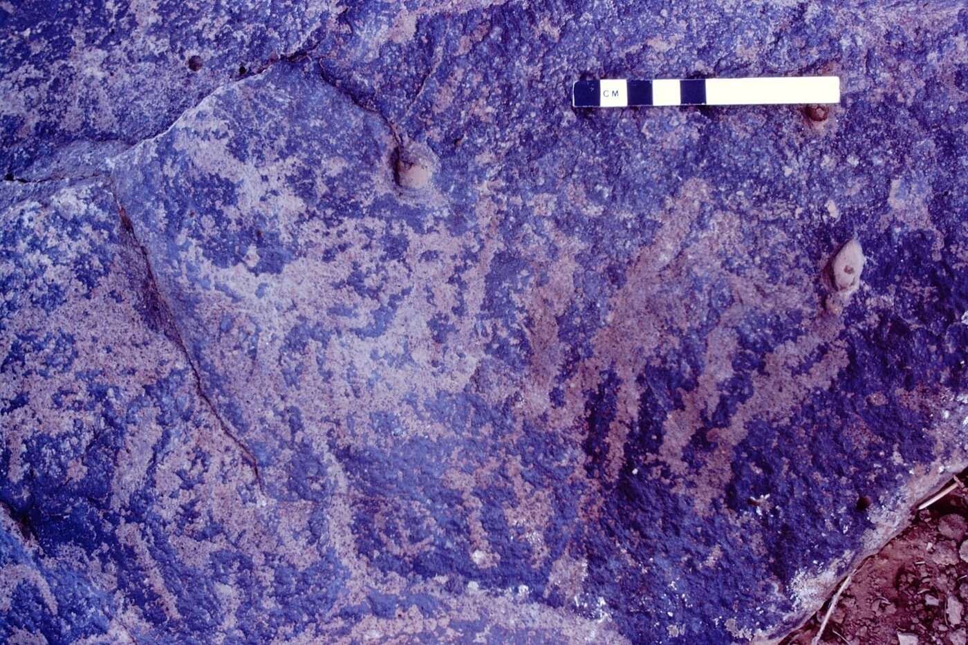 inscription of siglum MKMR 42