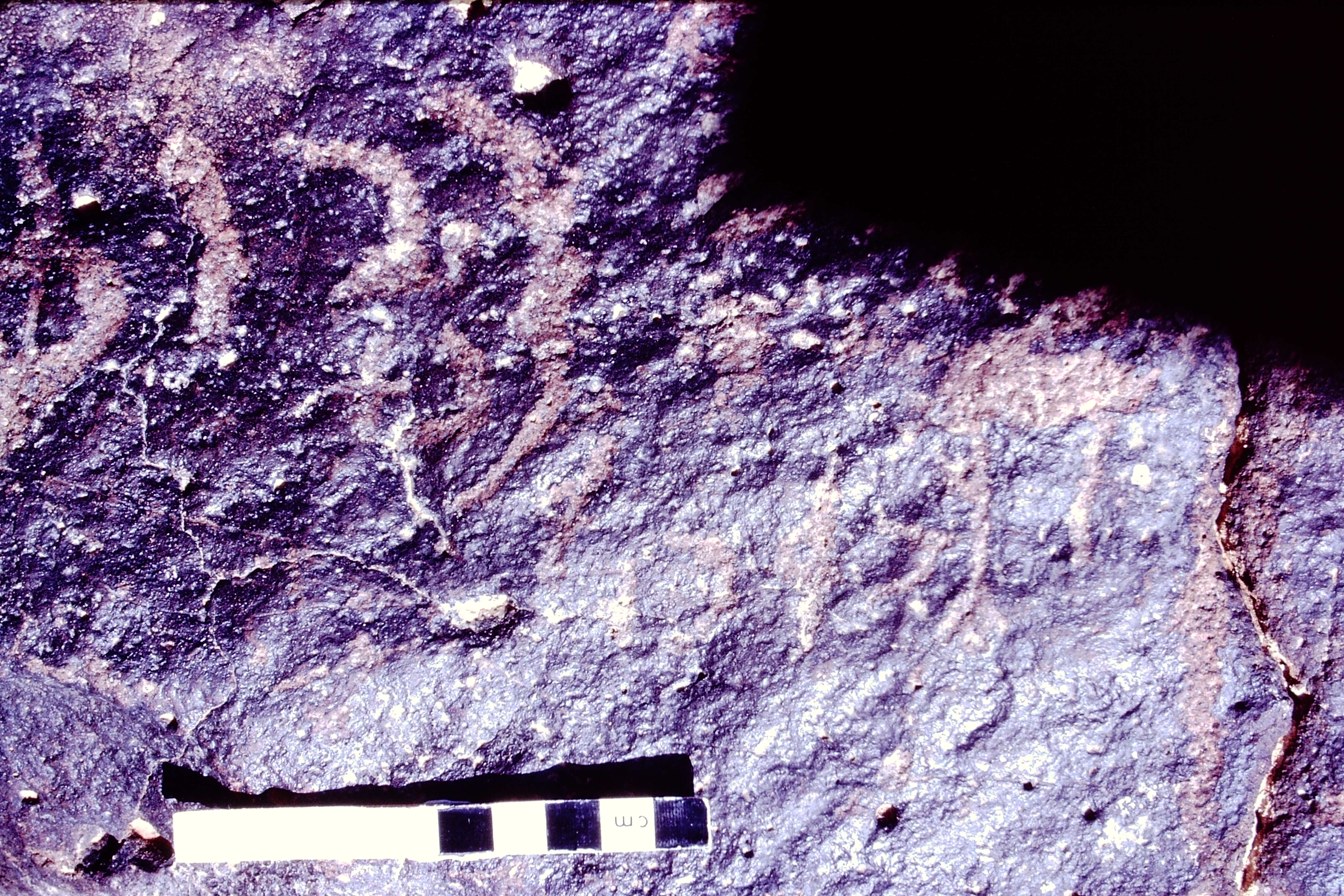 inscription of siglum MKMR 80