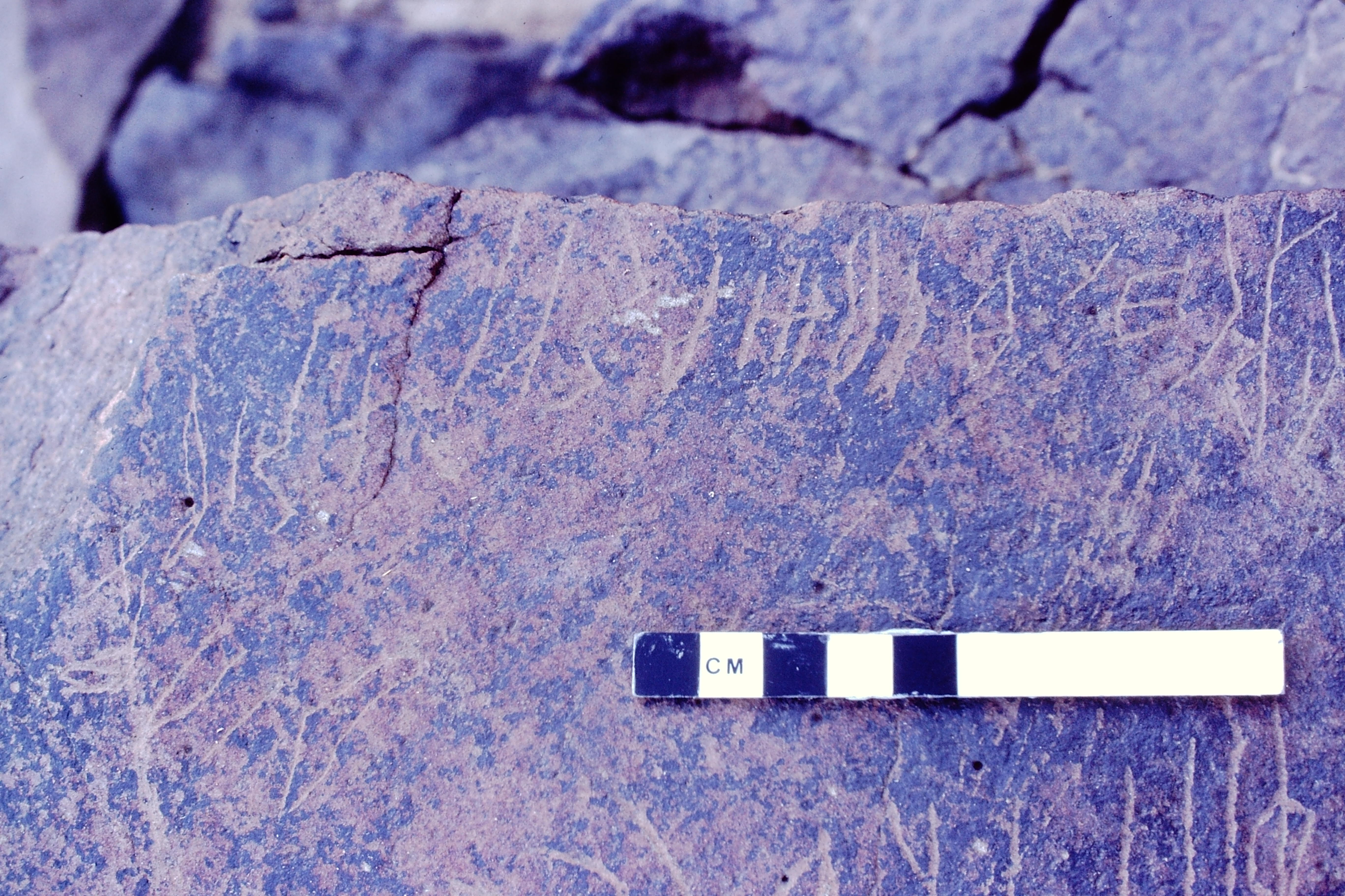 inscription of siglum MKWS 7