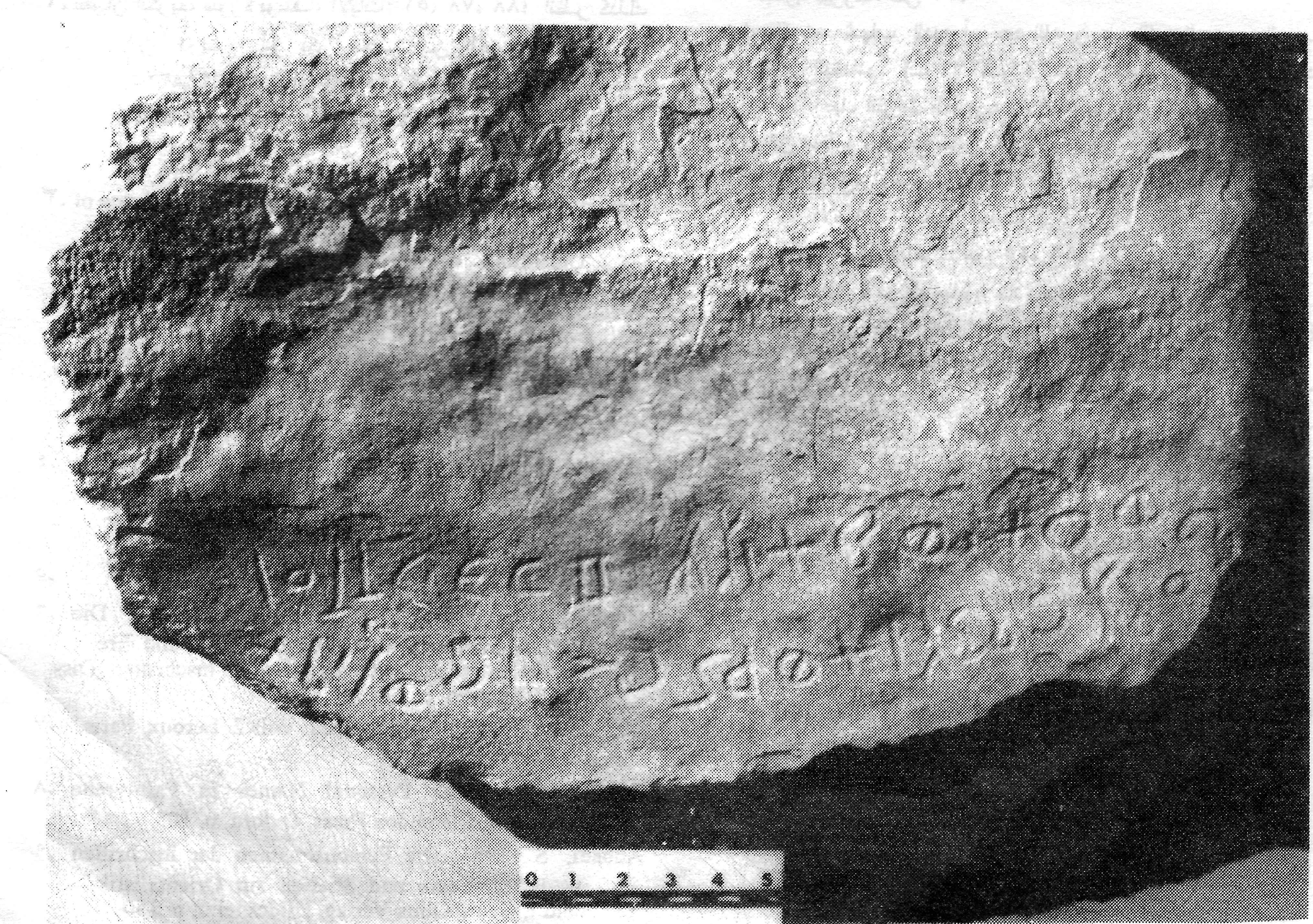 inscription of siglum MNSH 1