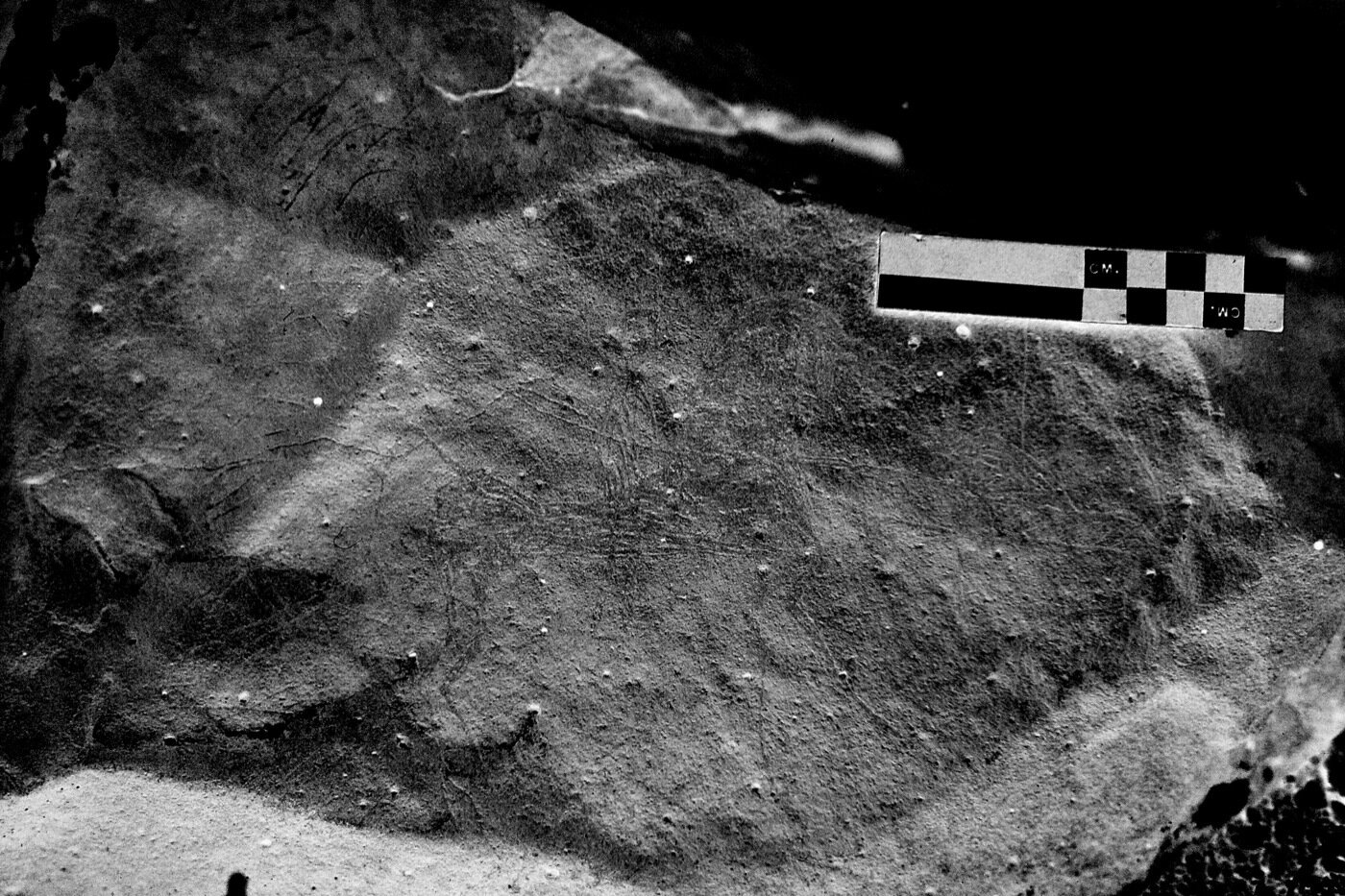 inscription of siglum MNSI 1.2