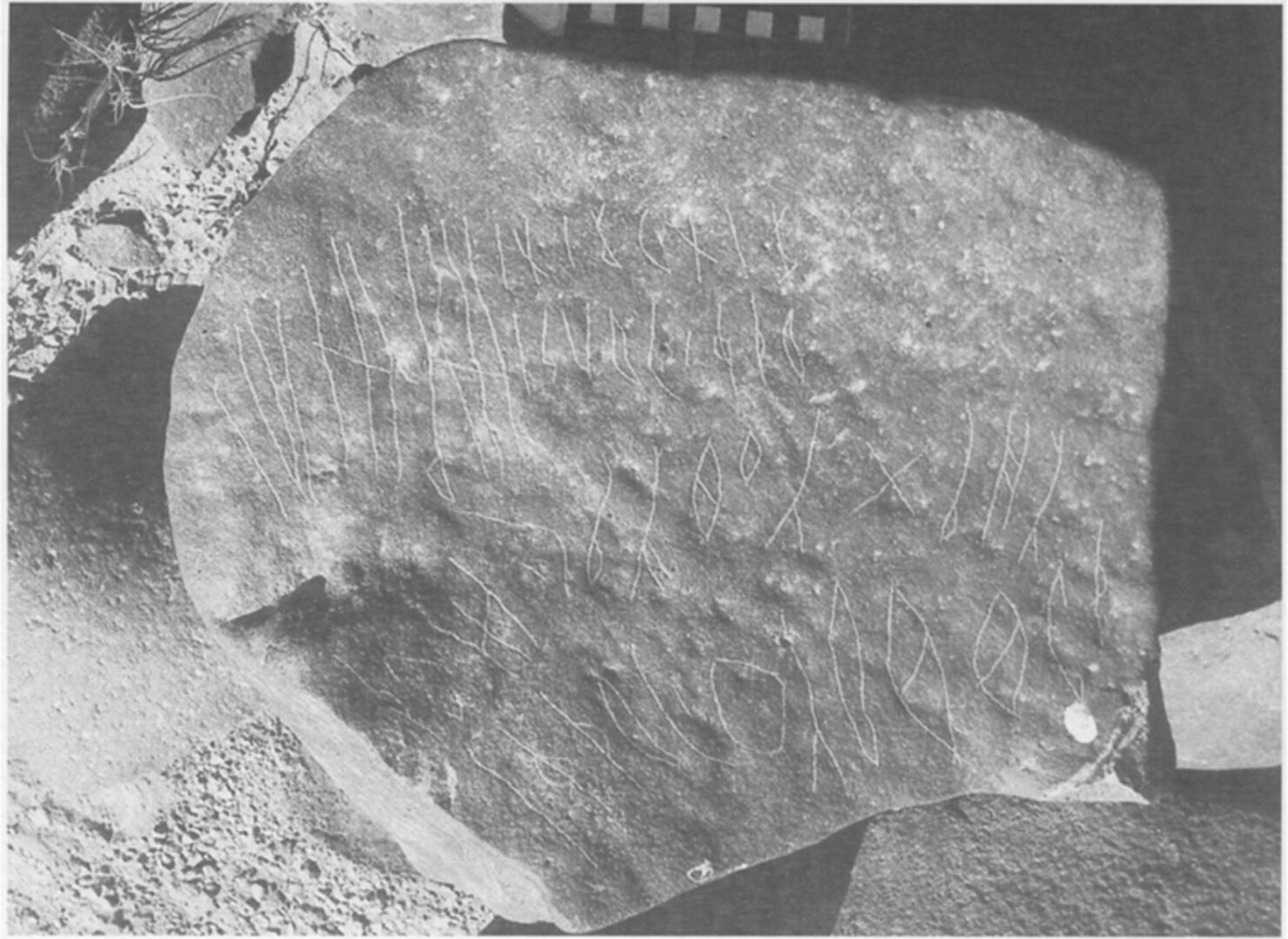 inscription of siglum MSFS 4