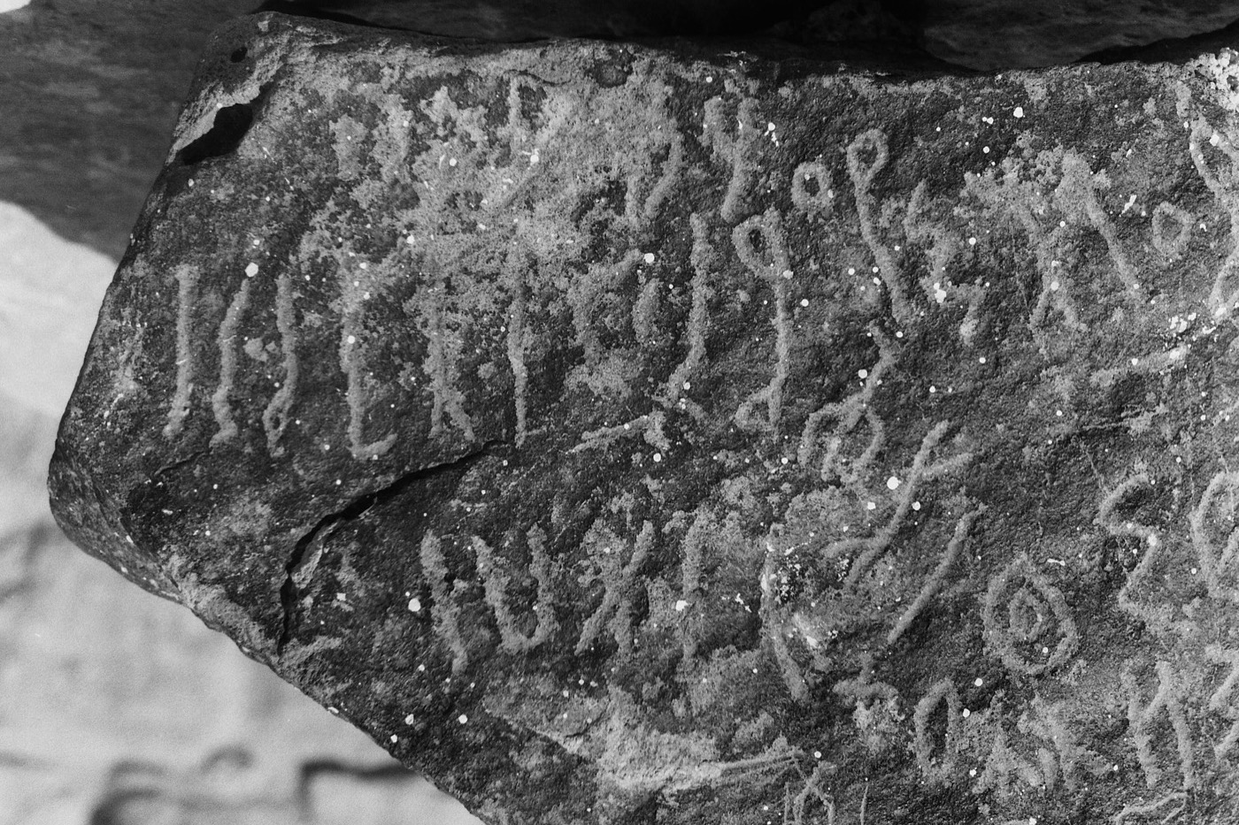 inscription of siglum Madaba Museum Saf 1