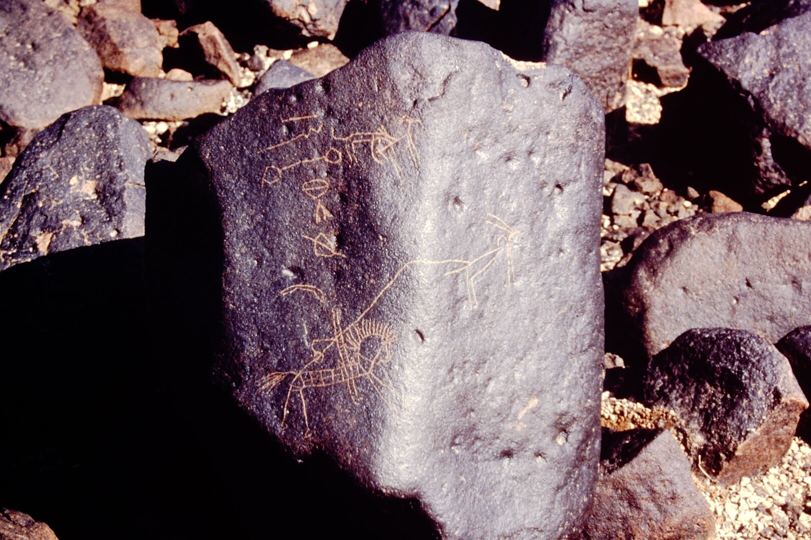 inscription of siglum Ms 31