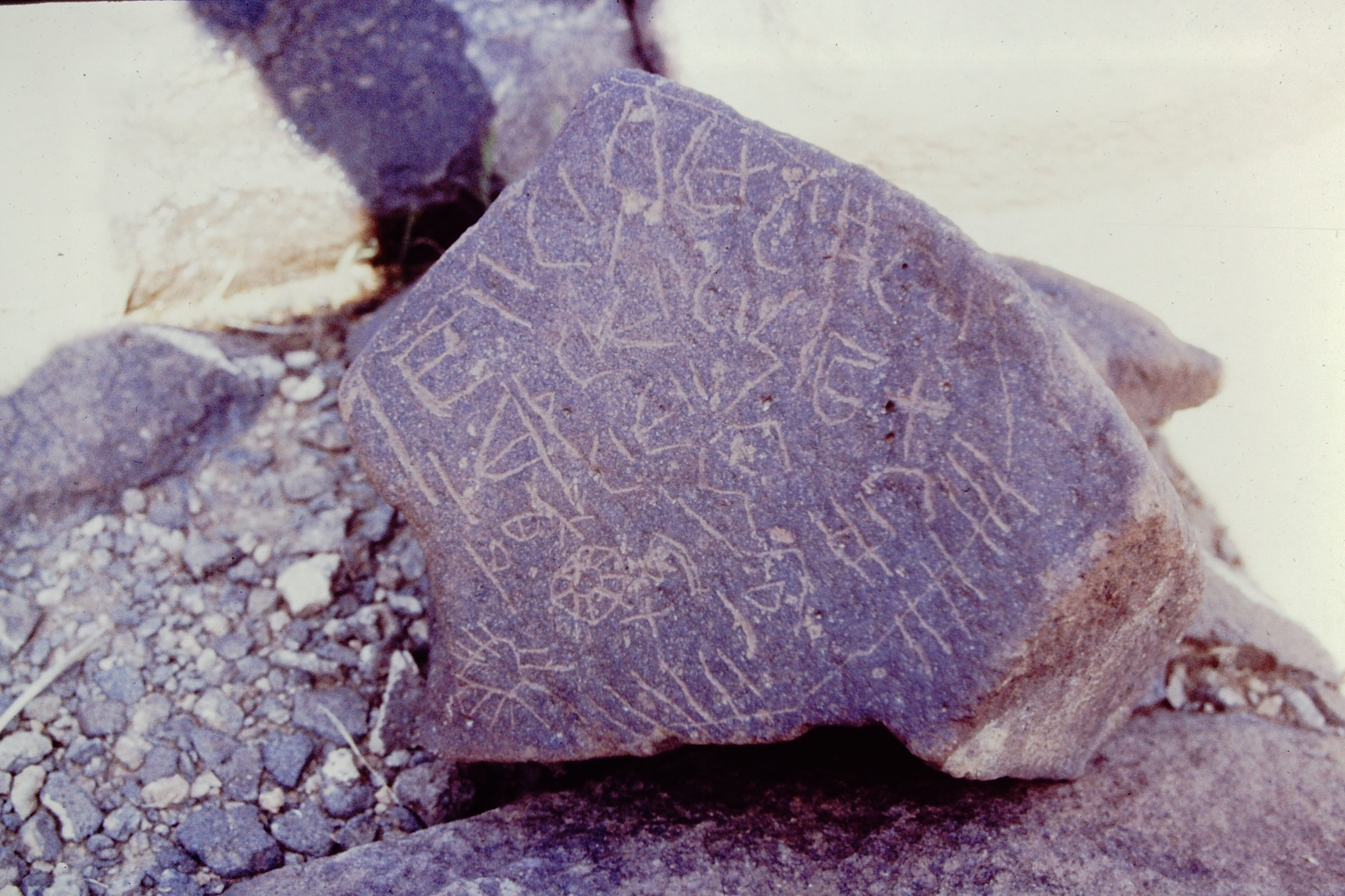 inscription of siglum Ms 55