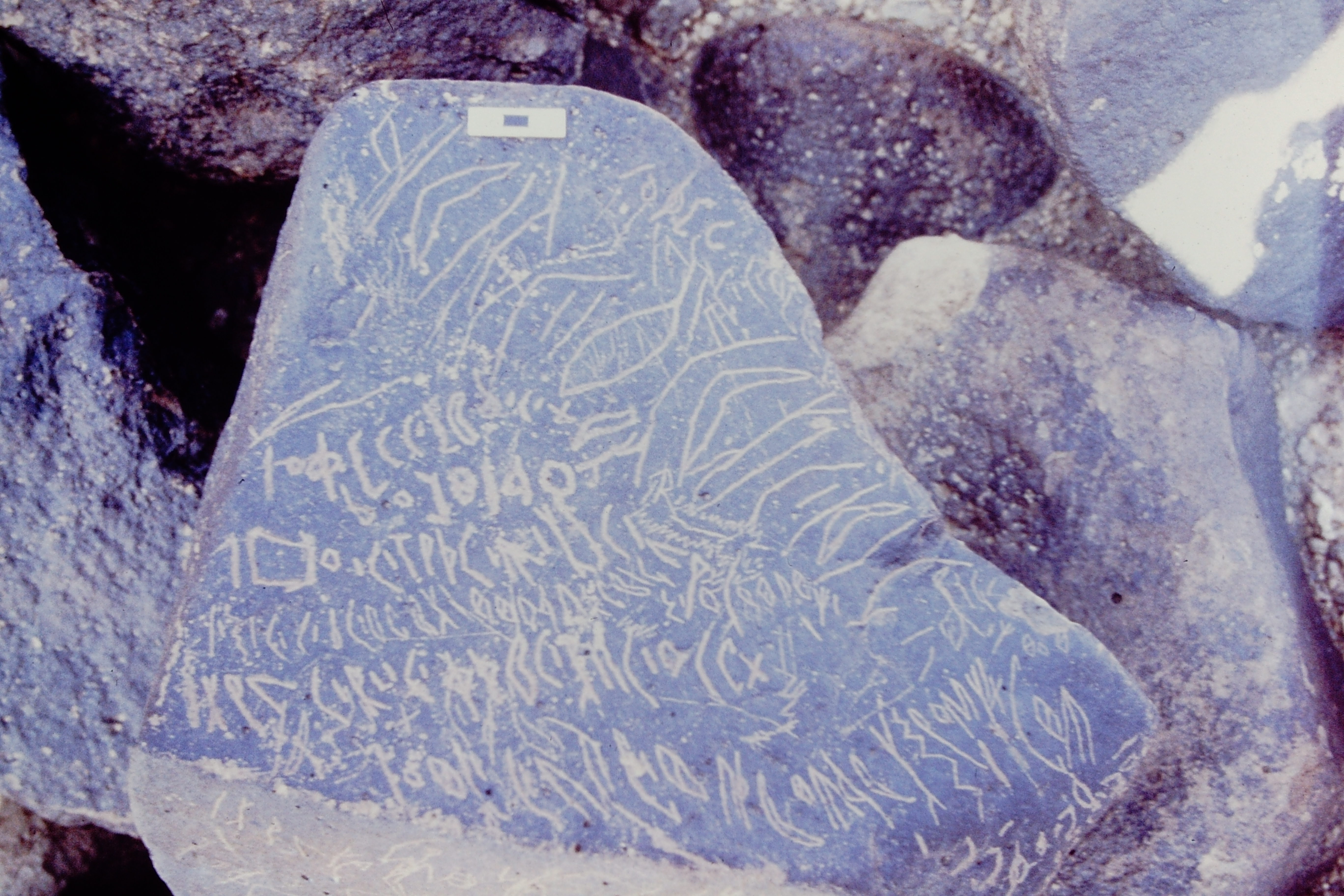 inscription of siglum Ms 67