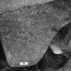 inscription of siglum Ms 67
