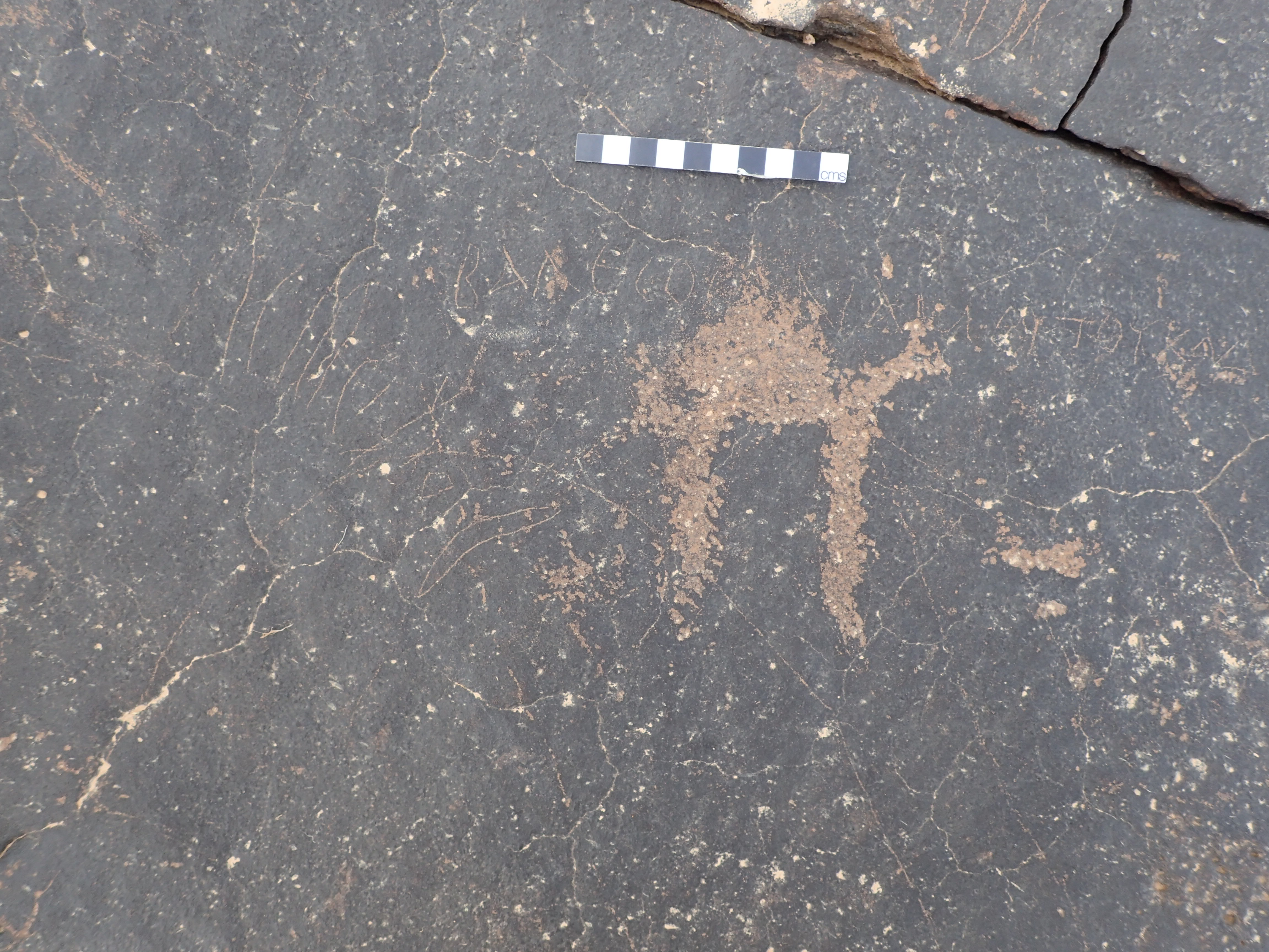 Image of NEJII Grk 3