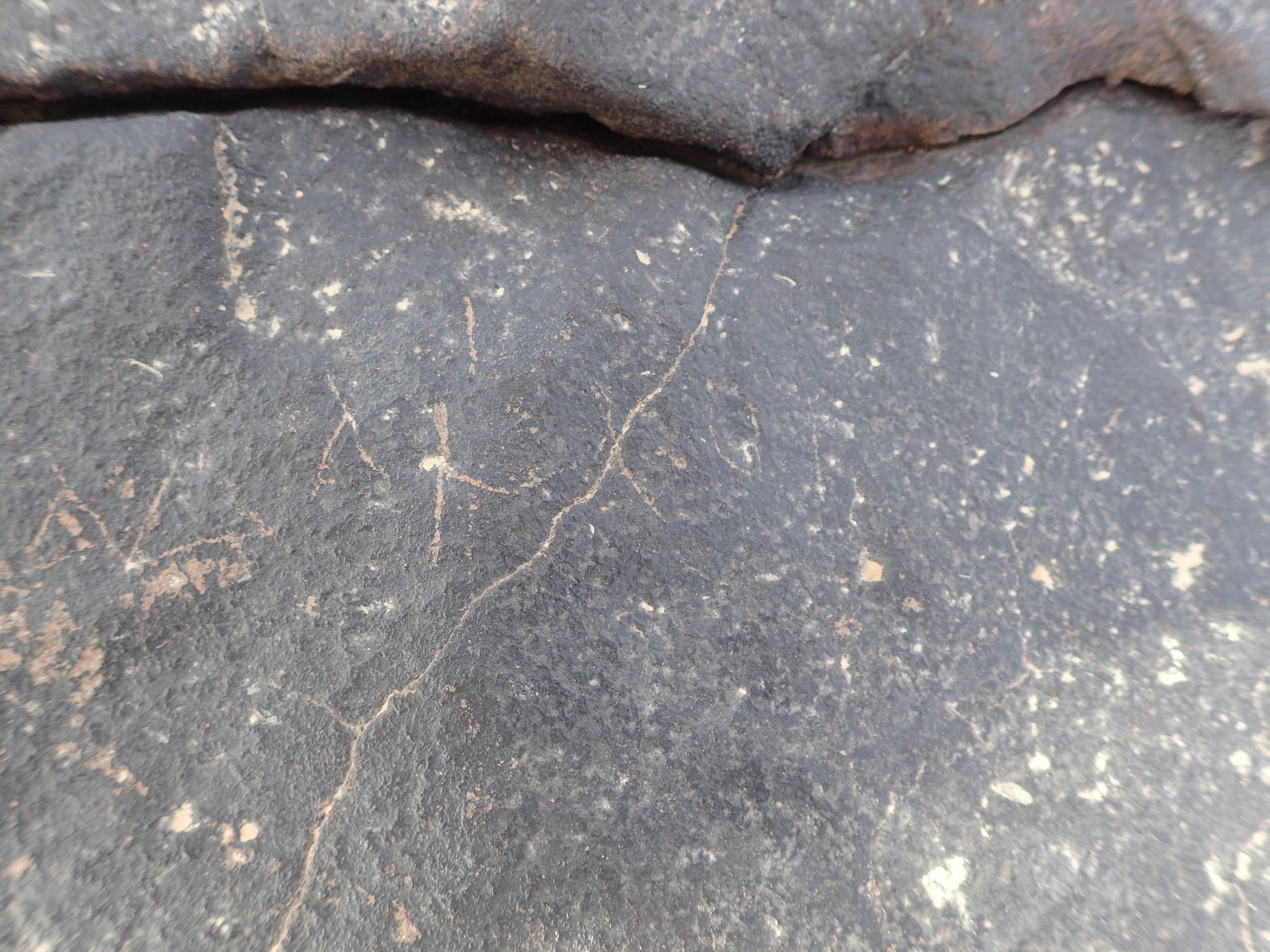 Image of NEJII Grk 3