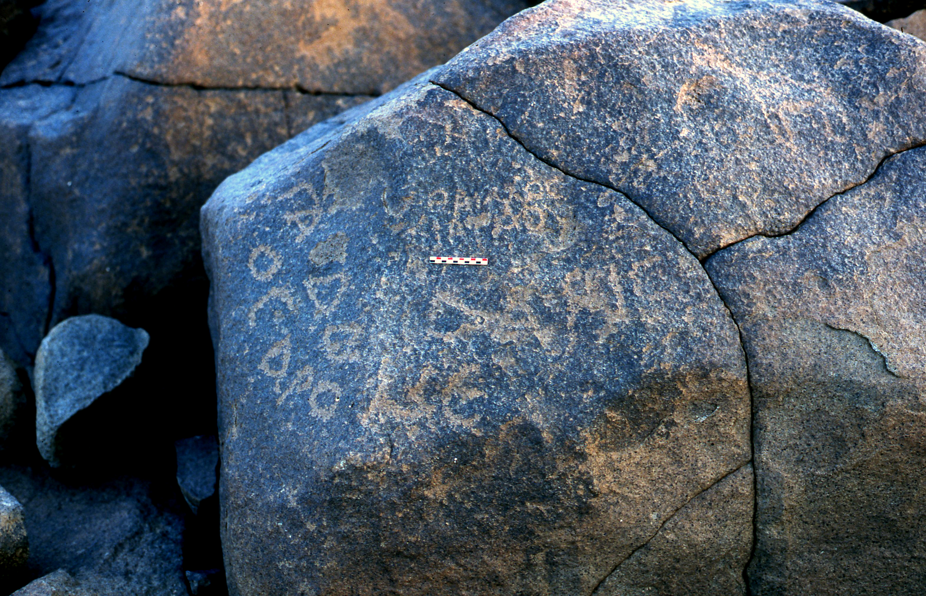 inscription of siglum NI 19