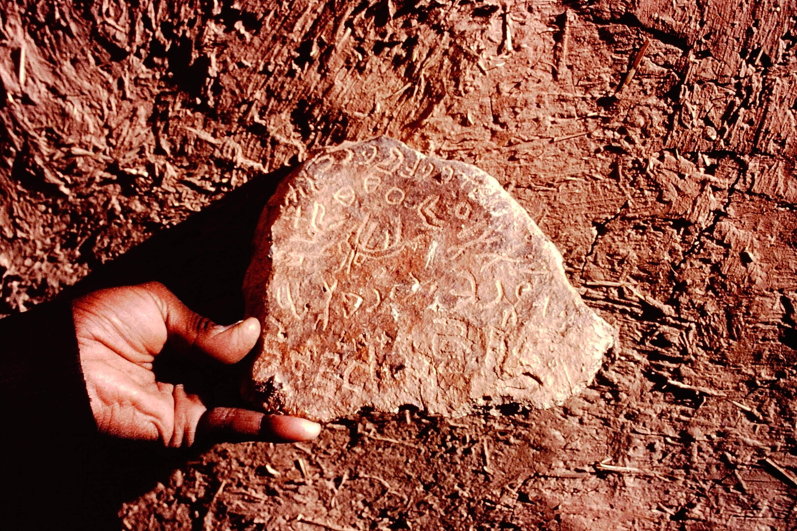 inscription of siglum NSR 2.1