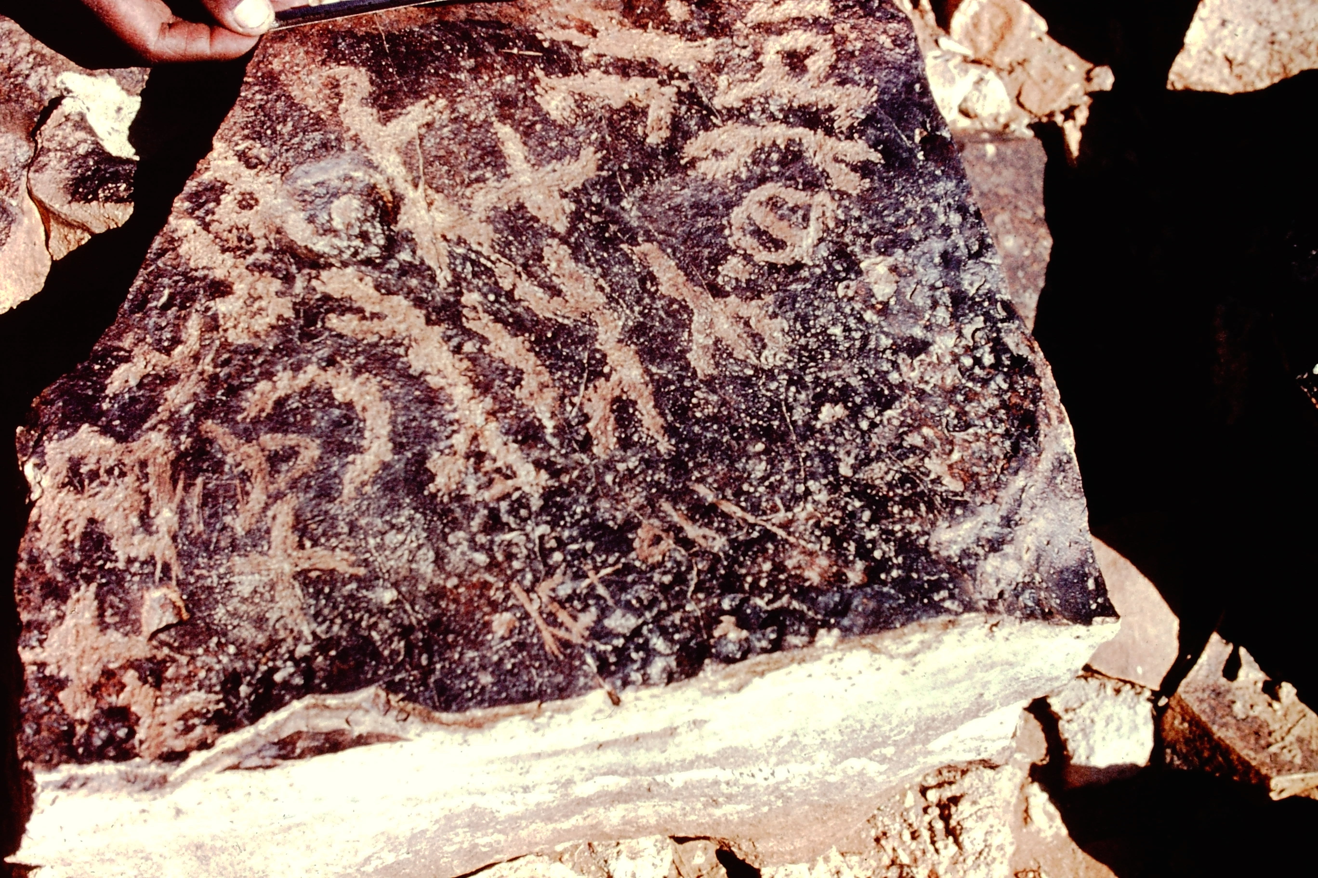 inscription of siglum NSR 22.1