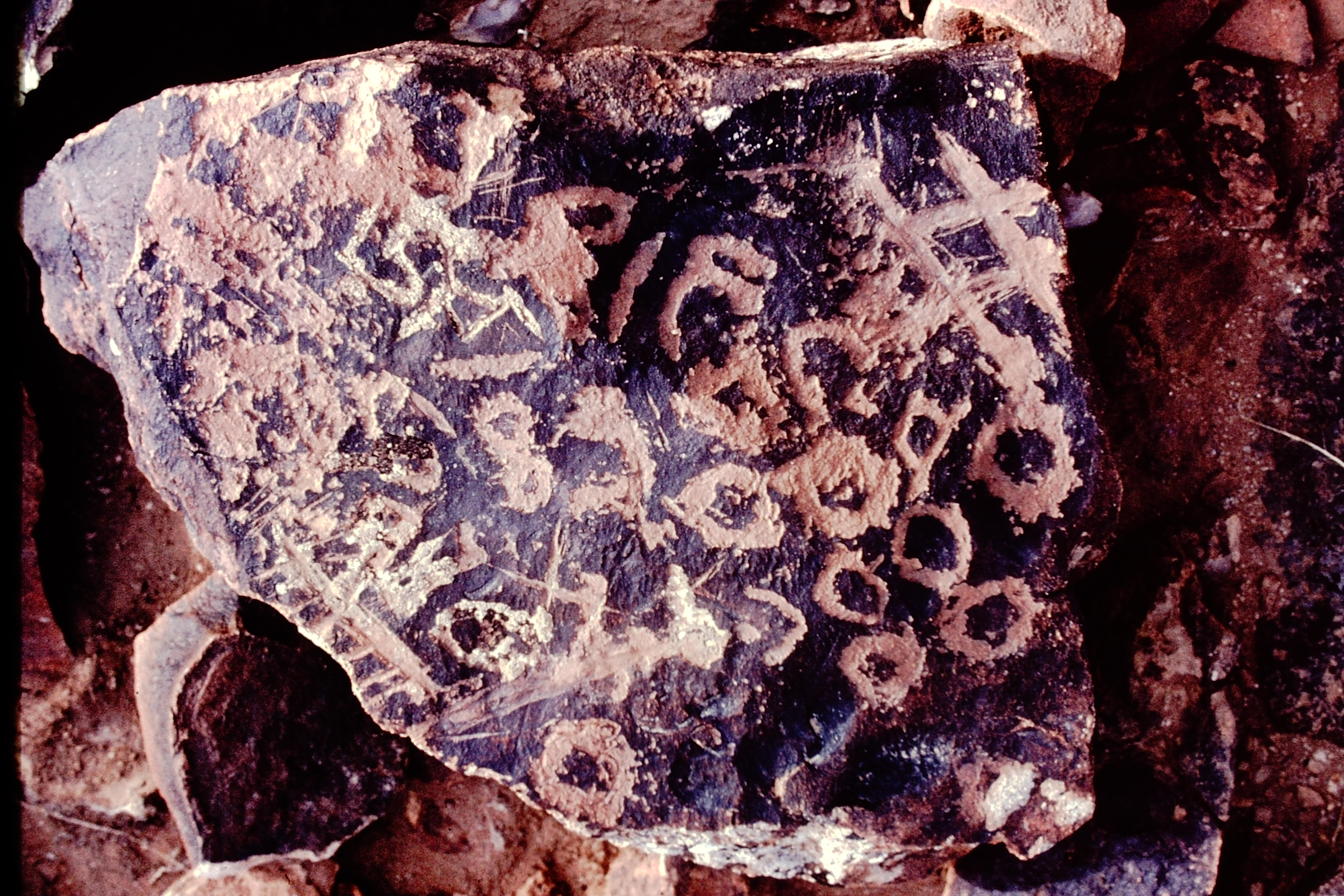 inscription of siglum NSR 31