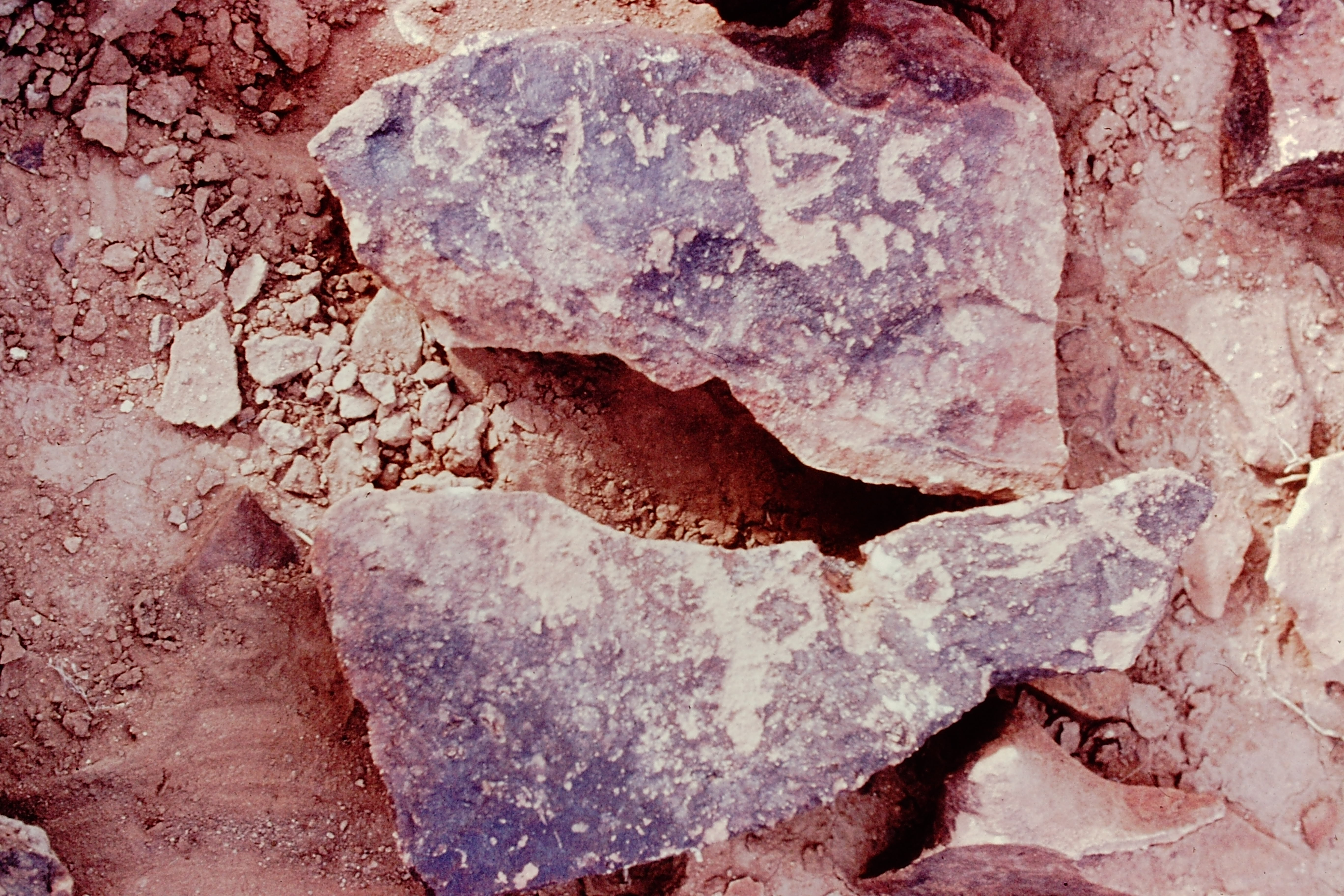 inscription of siglum NSR 35