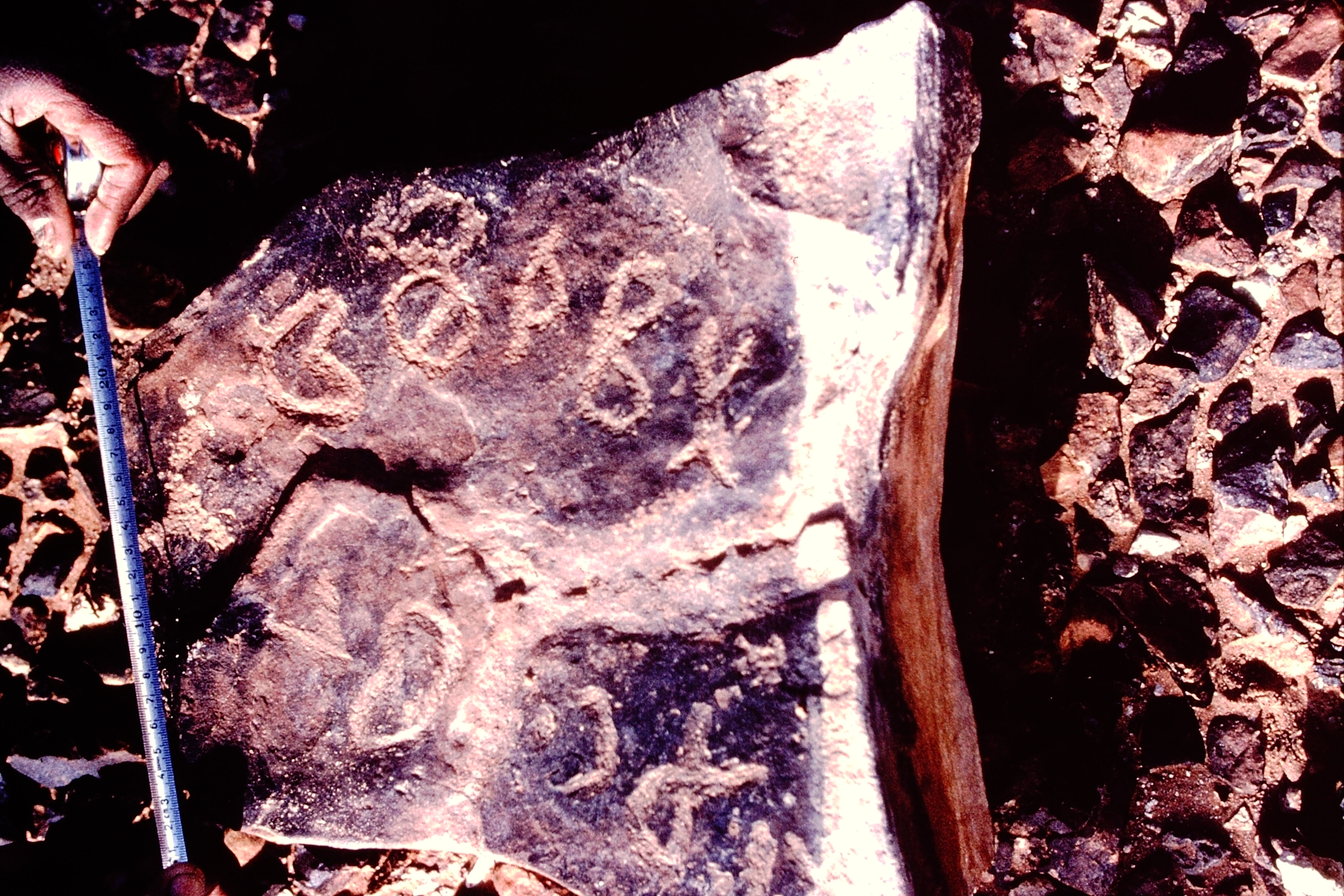 inscription of siglum NSR 59