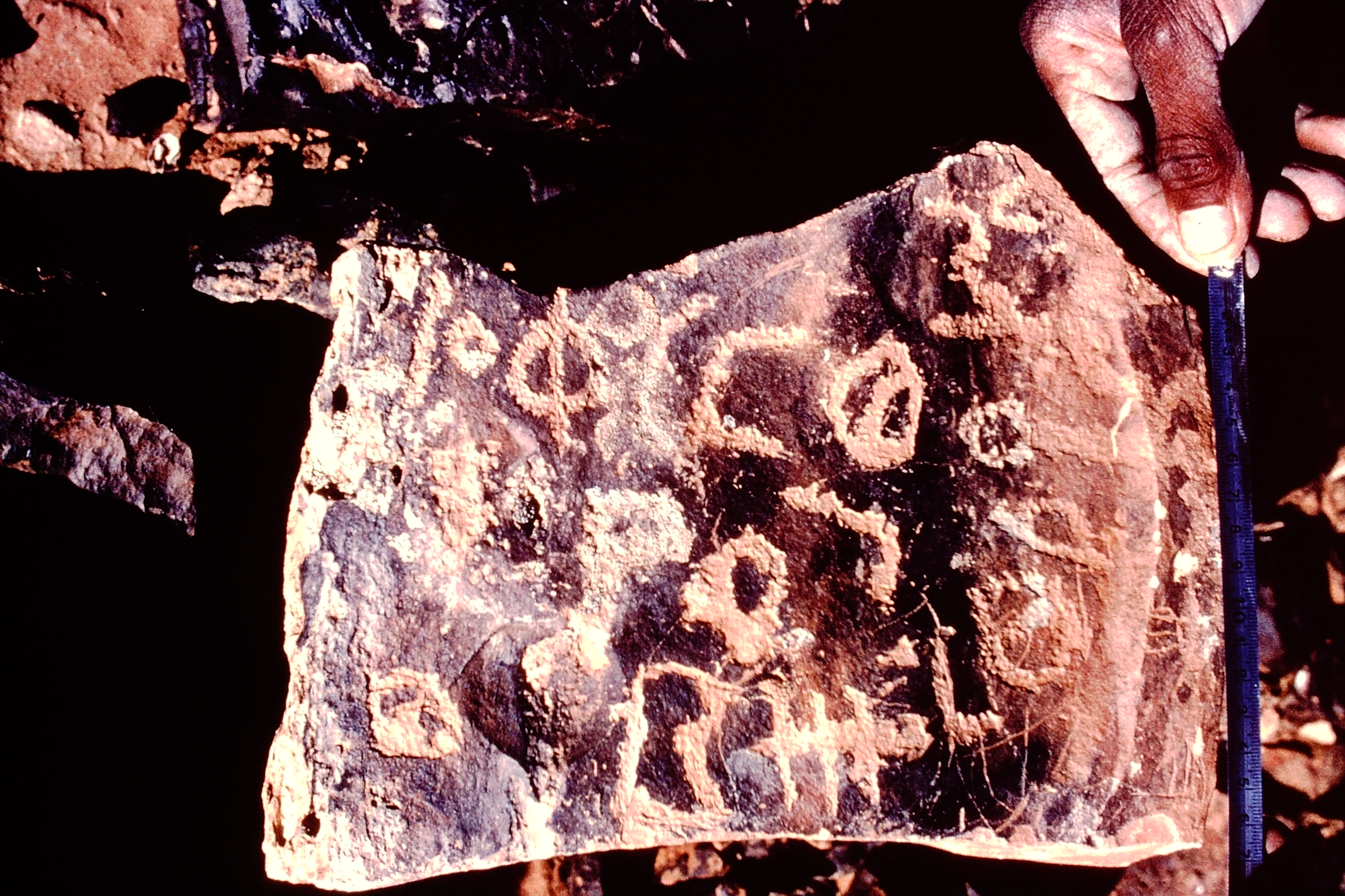 inscription of siglum NSR 64.1