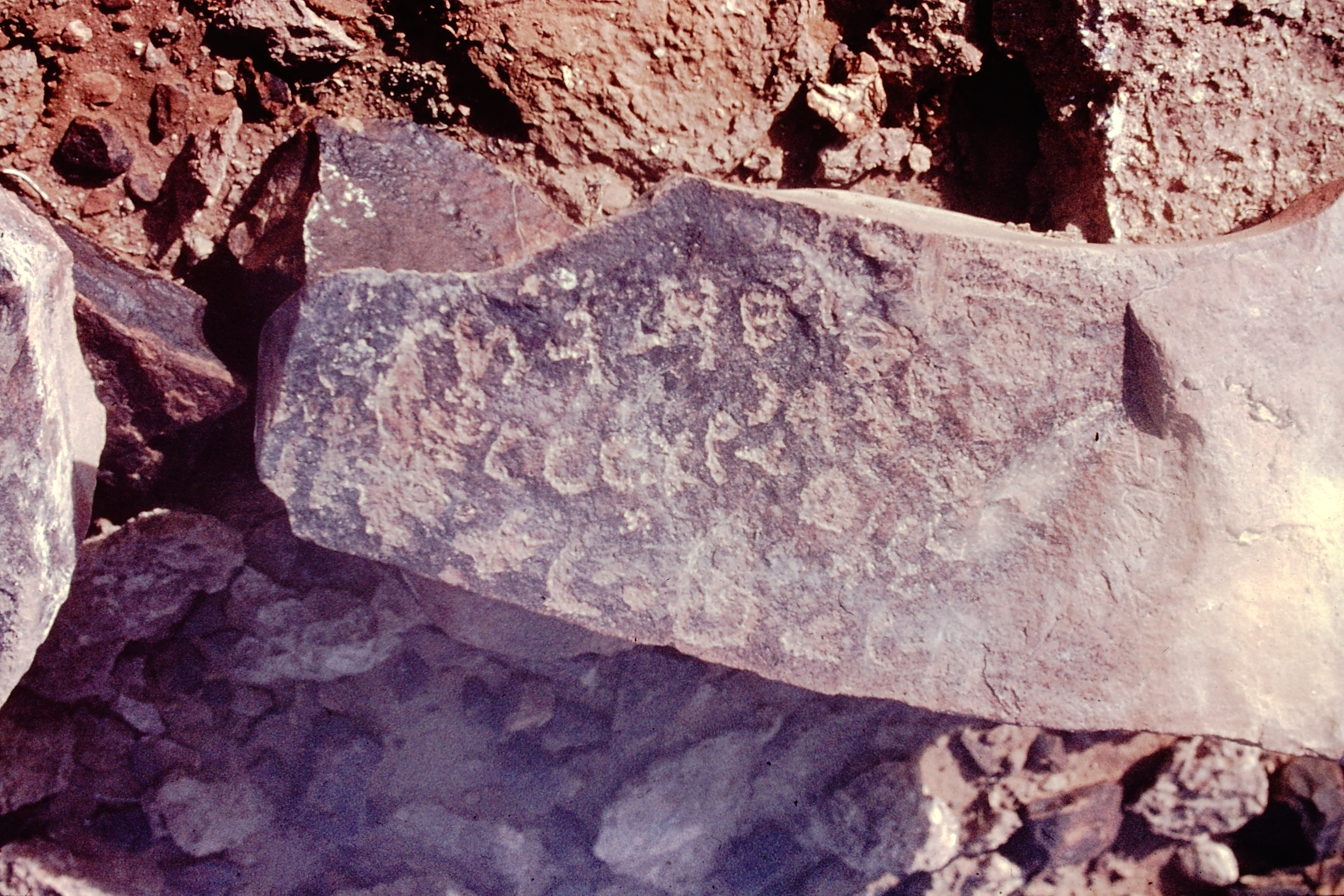 inscription of siglum NSR 67.1