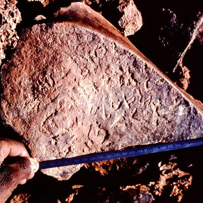 inscription of siglum NSR 67.7