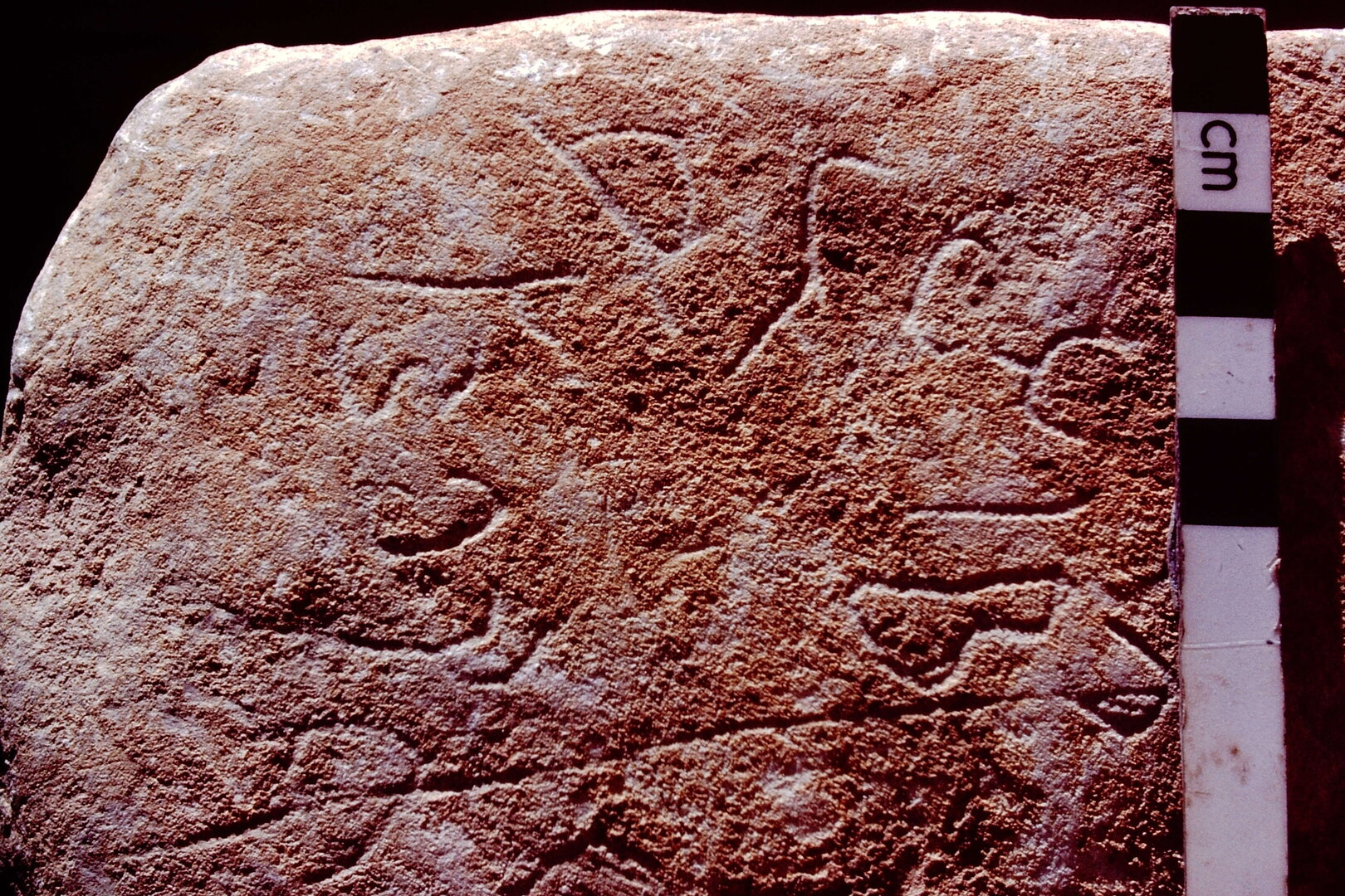 inscription of siglum NST 8