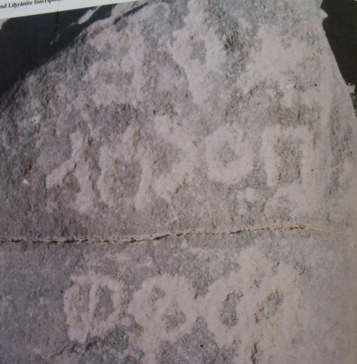 inscription of siglum Nasif 1988: 52, pl. XLVII