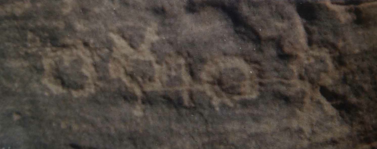 inscription of siglum Nasif 1988: 52, pl. XLVIII