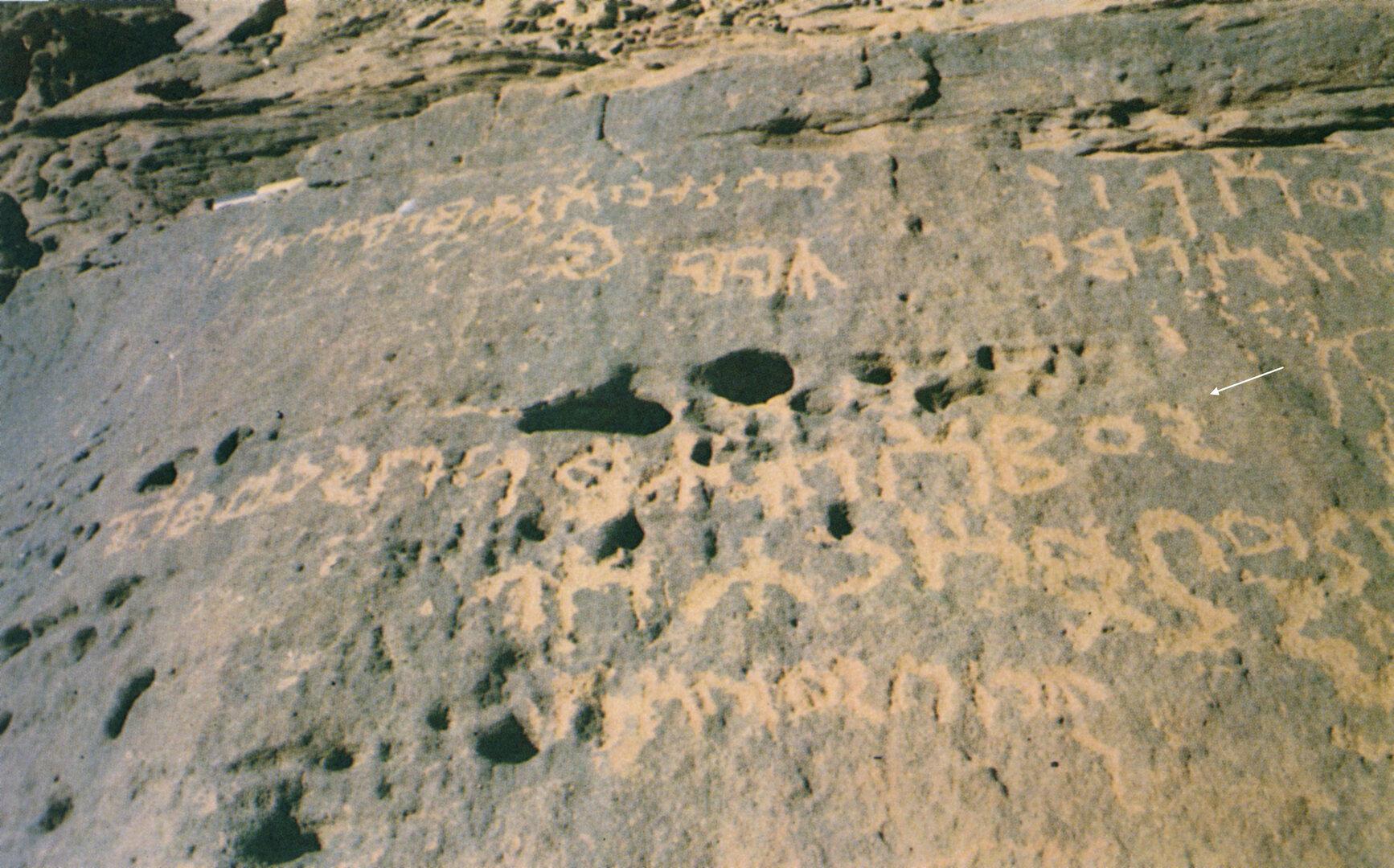 inscription of siglum Nasif 1988: 56, pl. LVI(b)/c