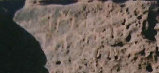 inscription of siglum Nasif 1988: 58, pl. LVII/a