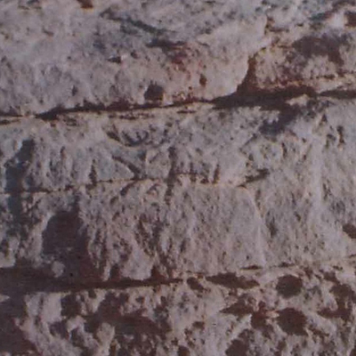 inscription of siglum Nasif 1988: 59, pl. LX